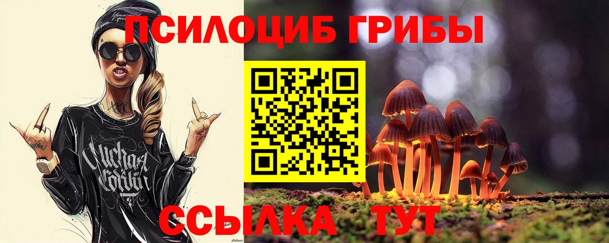 Галлюциногенные грибы прущие грибы Медногорск