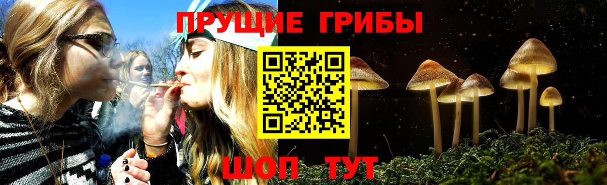Медногорск  Псилоцибиновые грибы ЛСД  Псилоцибиновые грибы мухоморы  Вход с VPN 