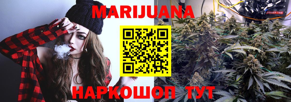 Шишки марихуана марихуана  Вход с VPN  Медногорск  Шишки марихуана White Widow  Конопля семена 